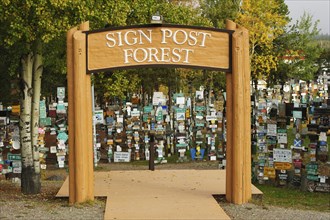 Sign Post Forest