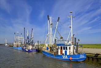 Cutter are in the port of Wremen