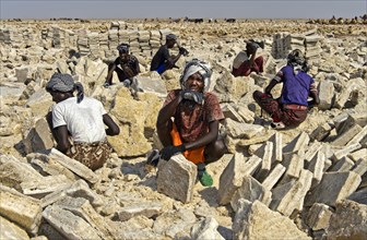 Afar salt workers cutting salt blocks for transport