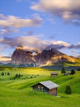 Alpe di Siusi mountain pasture