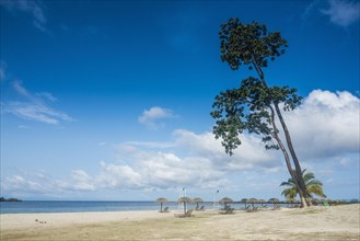 White sand beach before Horacio island