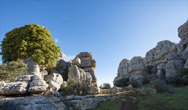 Rock formations of limestone