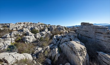 Rock formations of limestone