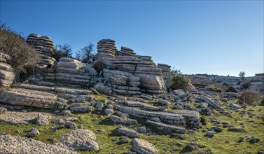 Rock formations of limestone