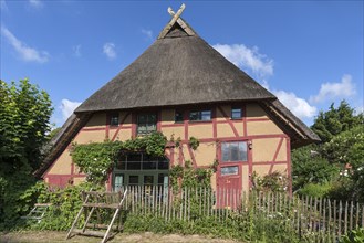 Old thatched farmhouse