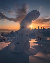 Sunrise in winter wonderland. Mount Kandalaksha. Arctic region. Murmansk
