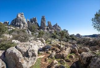 Rock formations of limestone