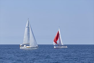 Sailboats near Vrsar
