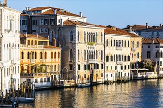 Historical house facades on the Canale Grande in the morning light