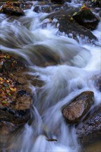 Autumn on the river Ilse in the Harz Mountains