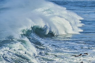 Huge wave in the Atlantic Ocean