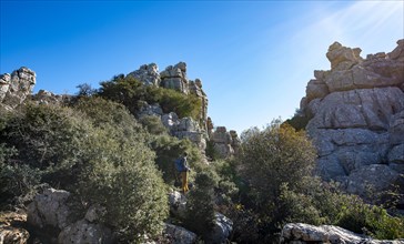 Rock formations of limestone