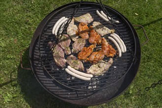 Barbecue food on a swivel grill
