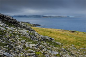 Landscape on Carcass Island