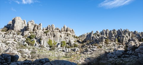 Rock formations of limestone