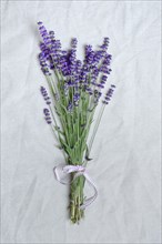 Bouquet with flowering lavender