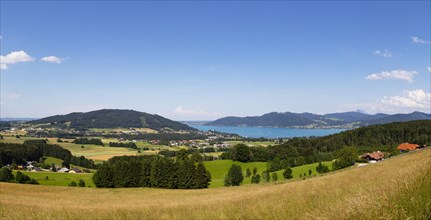View from Kronberg to Attersee am Attersee