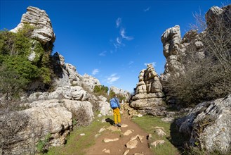 Young man on a hiking trail