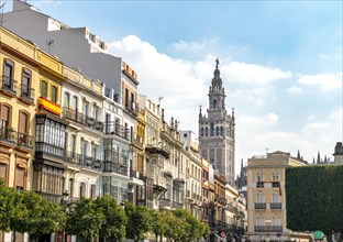 Historic houses with bell tower La Giralda