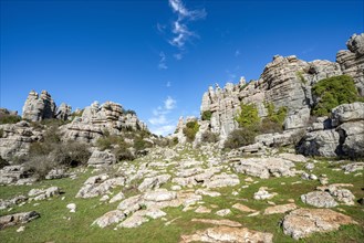 Rock formations of limestone