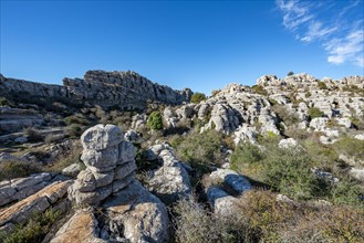 Rock formations of limestone