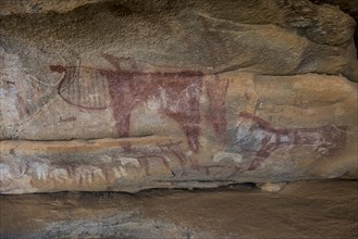 Cave paintings in Lass Geel caves