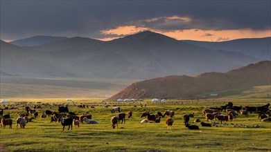 Peaceful evening. Mount Tsambagarav summer camp. Bayan-Ulgii province. Mongolia