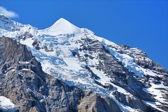 Silberhorn in the Jungfrau-Massif