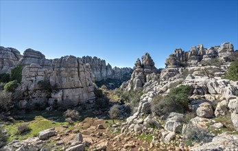 Rock formations of limestone