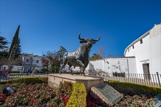 Bull figure
