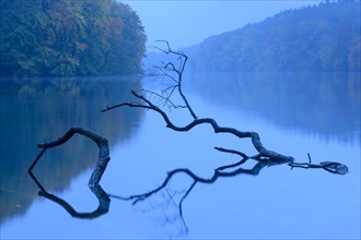 View of the lake Schmaler Luzin in the Feldberger Seenlandschaft in autumn at the blue hour