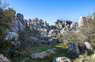 Rock formations of limestone