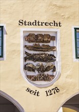 Coat of arms of the city of Trauntor