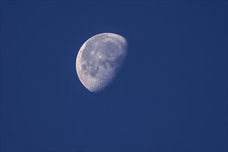 Waning moon in the early blue morning sky