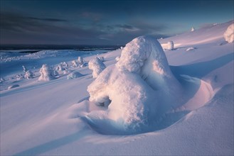 Wonderful winter in Mount Kandalaksha. Arctic region. Murmansk