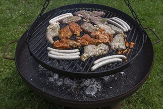 Barbecue food on a swivel grill