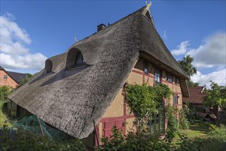 Historic thatched farmhouse