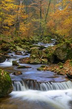 Autumn on the river Ilse in the Harz Mountains