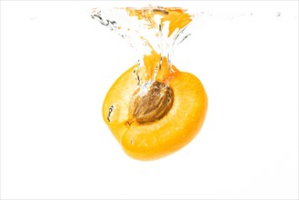 Apricot falls into the water