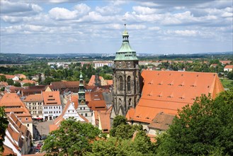 View from Sonnenstein to the old town with town hall and town church St. Marien
