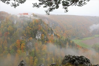 Wildenstein Castle in autumnal beech forest