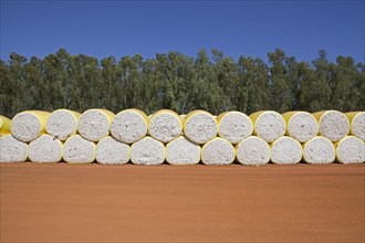 Stacks of cotton in Mato Grosso state