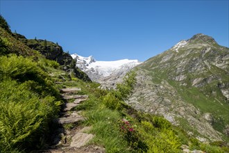 Hiking trail and mountain landscape with glacier Schlatenkees