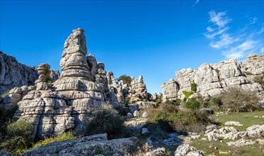 Rock formations of limestone