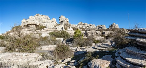 Rock formations of limestone