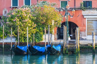 Parking gondolas on the Canale Grande caused by the Corona Pandemic