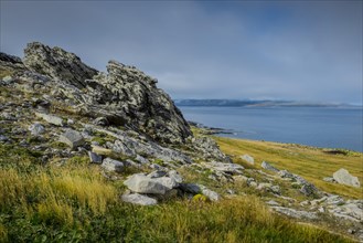 Landscape on Carcass Island