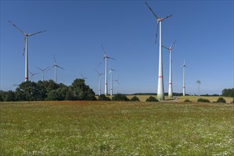 Wind turbines in blooming meadows