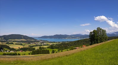View from Kronberg to Attersee at the Attersee and Weyregg