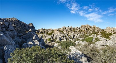 Rock formations of limestone